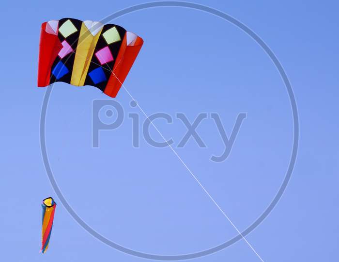 kite flying on Indian Hindu festival pongal,a harvest  celebration