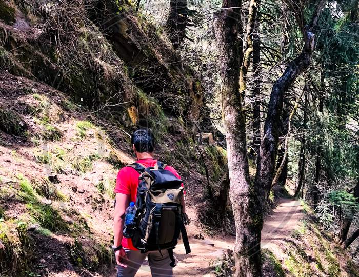 Trekking way and adventures trip kheerganga Himachal Pradesh india