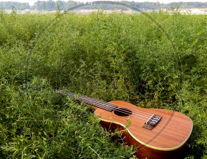 The Best Stock Image Of Ukulele Instrument With Natural Environment, Nature Sounds Nature Music - Nature Lovers!