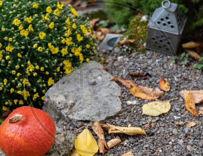 Orange Pumpkin On Gravel With Rustic Yellow Flower Bouquet And Autumn Leafs And Tin Lantern In Background.