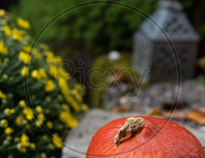 Orange Pumpkin On Gravel With Rustic Yellow Flower Bouquet And Tin Lantern In Blurred Background.