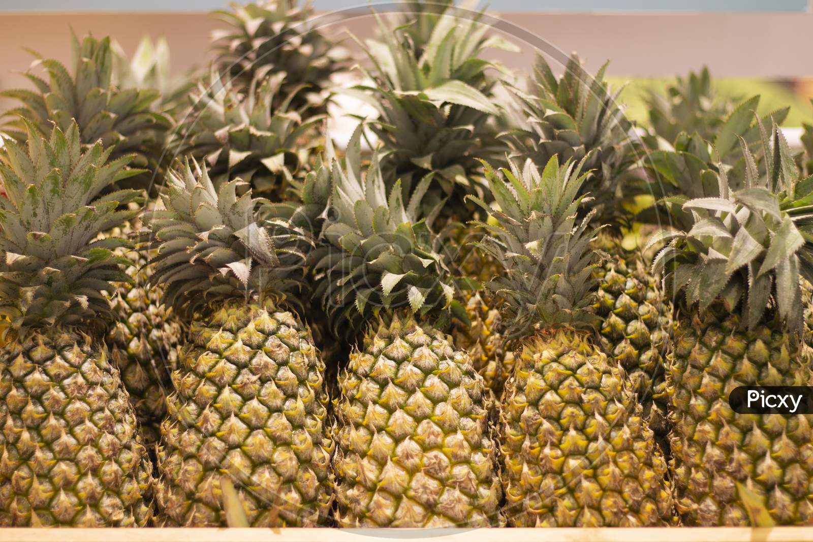 Fresh pineapple isolated in market