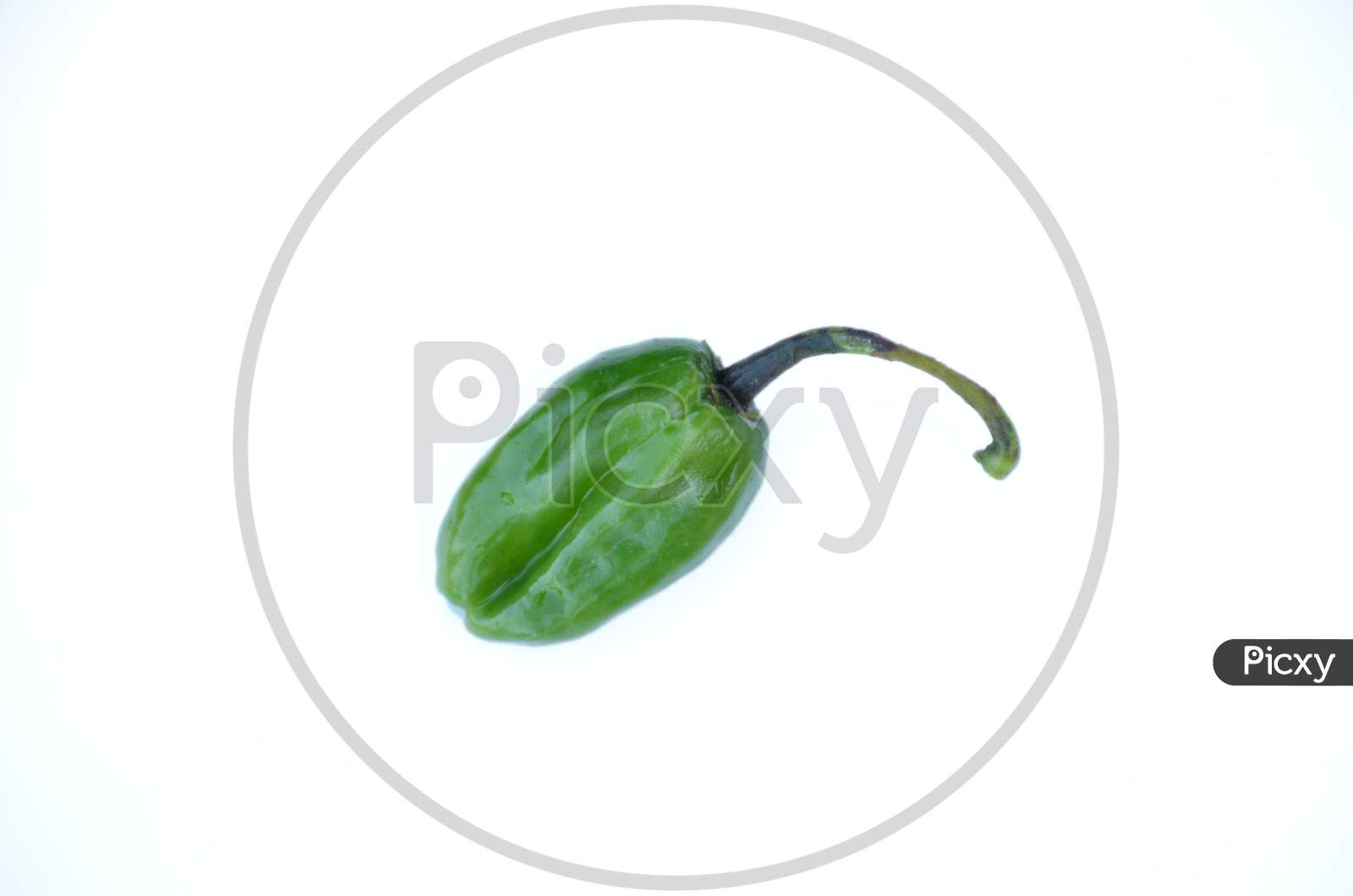 The Green Ripe Chilly Isolated On White Background.