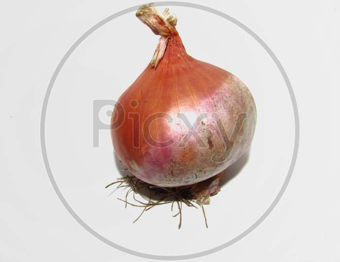 Onion on white background