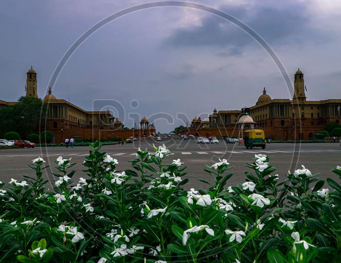 Flowers in front of  Rashtrapati bhawan on the rajpath road,new Delhi also know as president estate