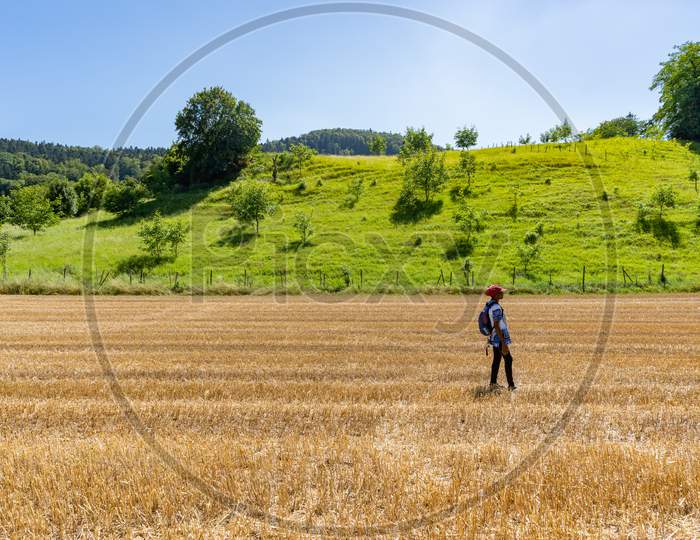 African Woman Walking On Golden Harvested Corn Field In Hot Summer Afternoon.