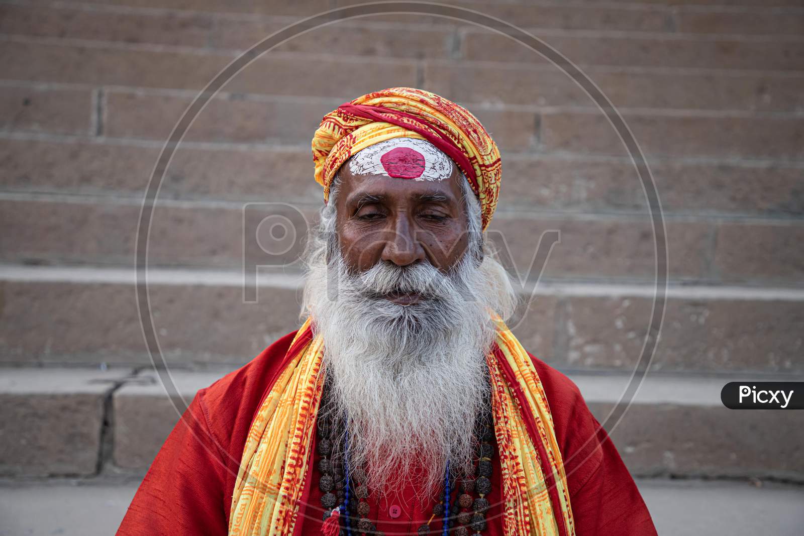 portrait of a meditating sadhu