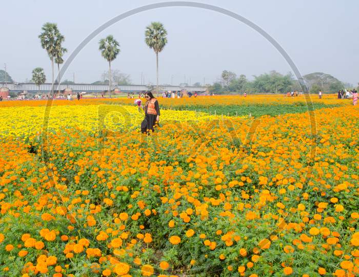 the valley of flower in west bengal