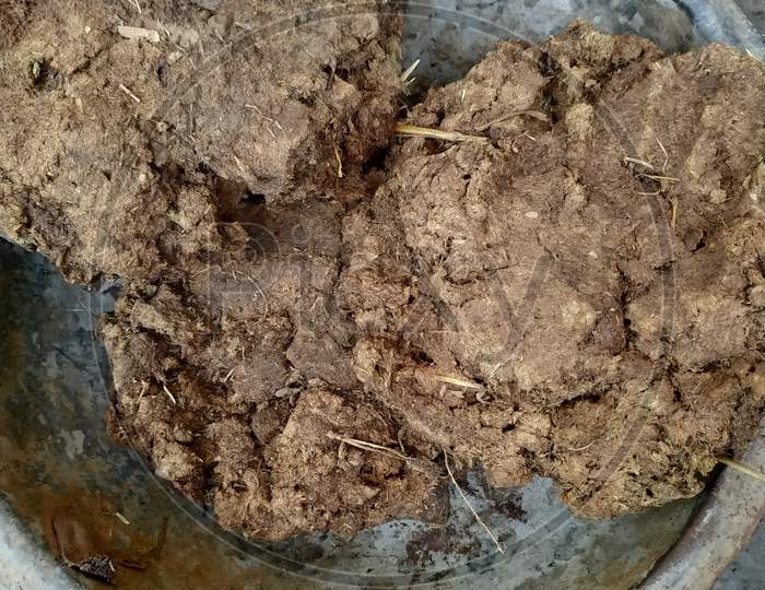 Organic Cow Dung Cake/HAWAN UPLE/KANDE/THEPDI/CHHANA,Cow dung cakes have been used in traditional Indian households for Hawan kund, yagnas, ceremonies, rituals. Pure Desi conw dung cake.
