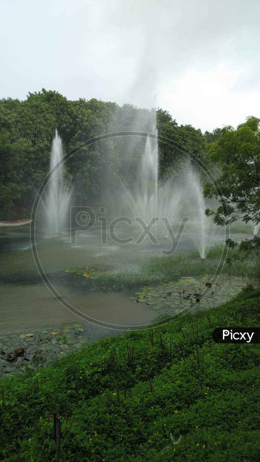 The Fountain In The Park. Best Nature With Fountain.