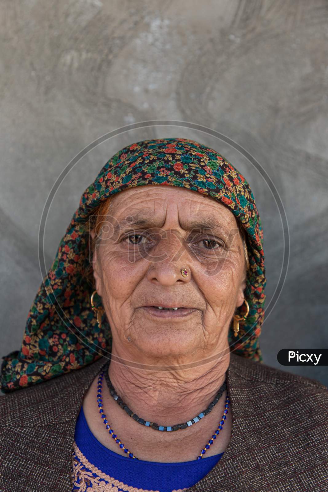 Portrait of a  beautiful traditional old lady in himachal pradesh