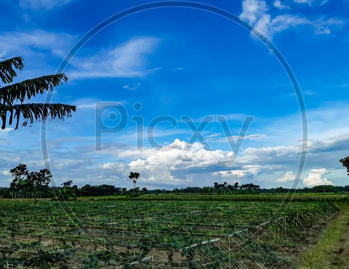 Green Farmland And White Clouds In The Blue Sky. This Is A Picture Of The Time Of Sunset.