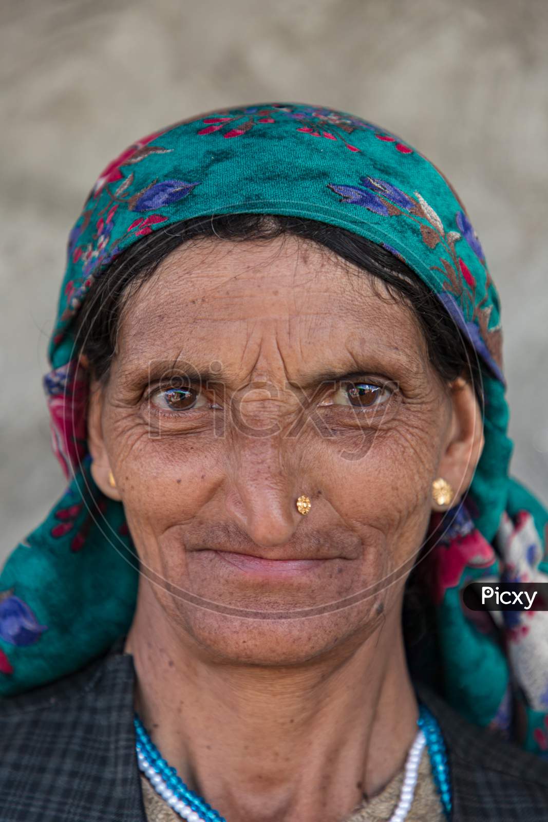 Portrait of a  beautiful traditional old lady in himachal pradesh