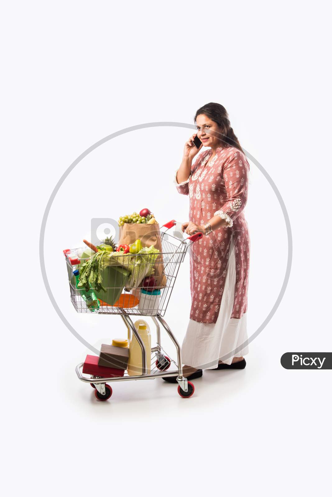 Happy Indian Woman With A Shopping Cart. Isolated Over White Background