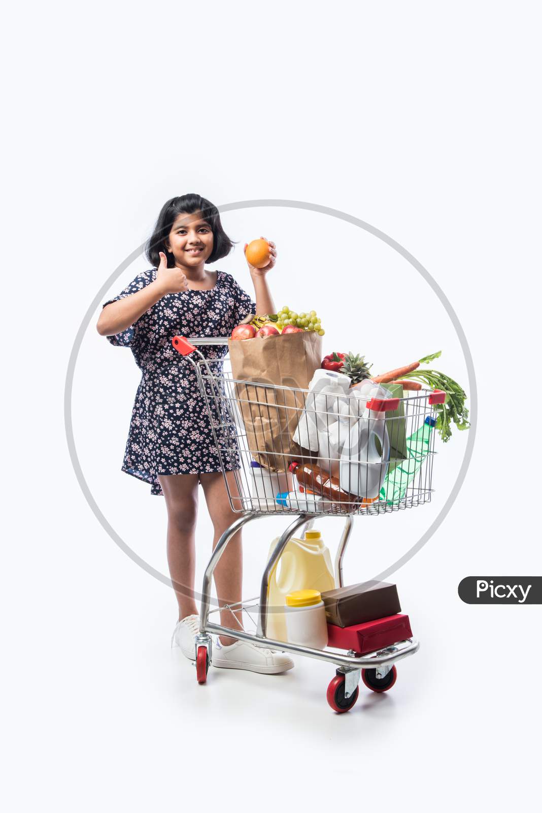 Indian Small Girl With Shopping Cart Full Of Groceries, Vegetables And Fruits