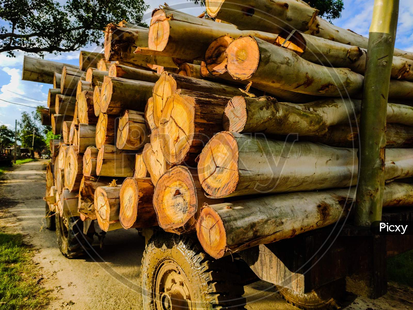 wood cut lumber in truck, transport for industry