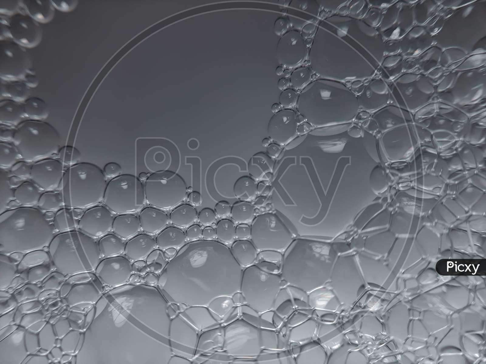 Macro photography of bubbles in soap water.