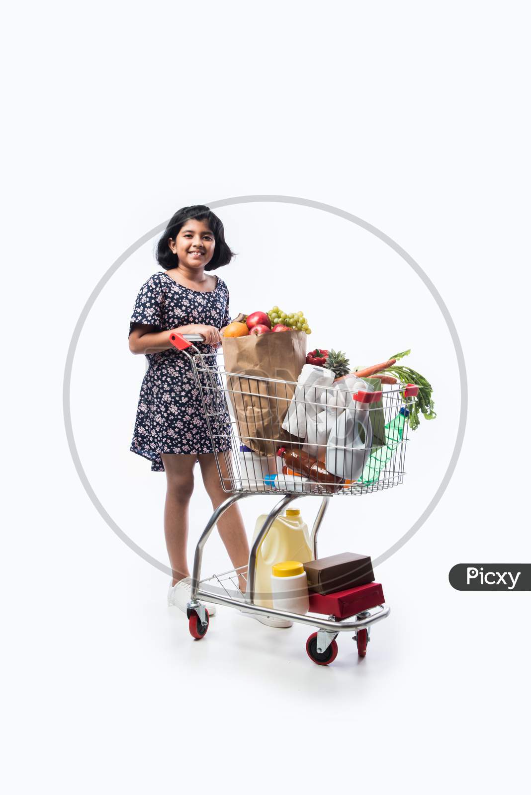 Indian Small Girl With Shopping Cart Full Of Groceries, Vegetables And Fruits