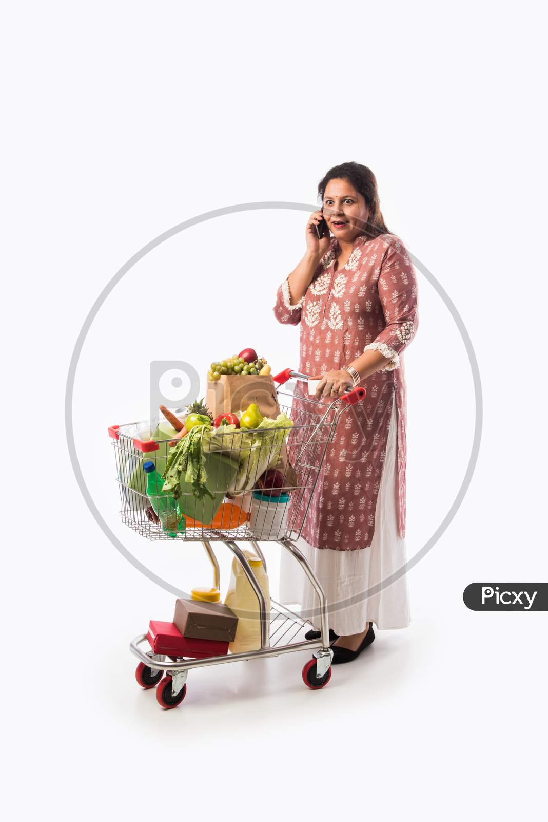 Happy Indian Woman With A Shopping Cart. Isolated Over White Background