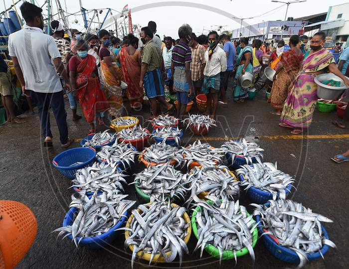 Fishermen Busy At Kasimedu Fish Market, During The Ongoing Nationwide Covid-19 Lockdown, In Chennai Saturday, Aug 22.2020,