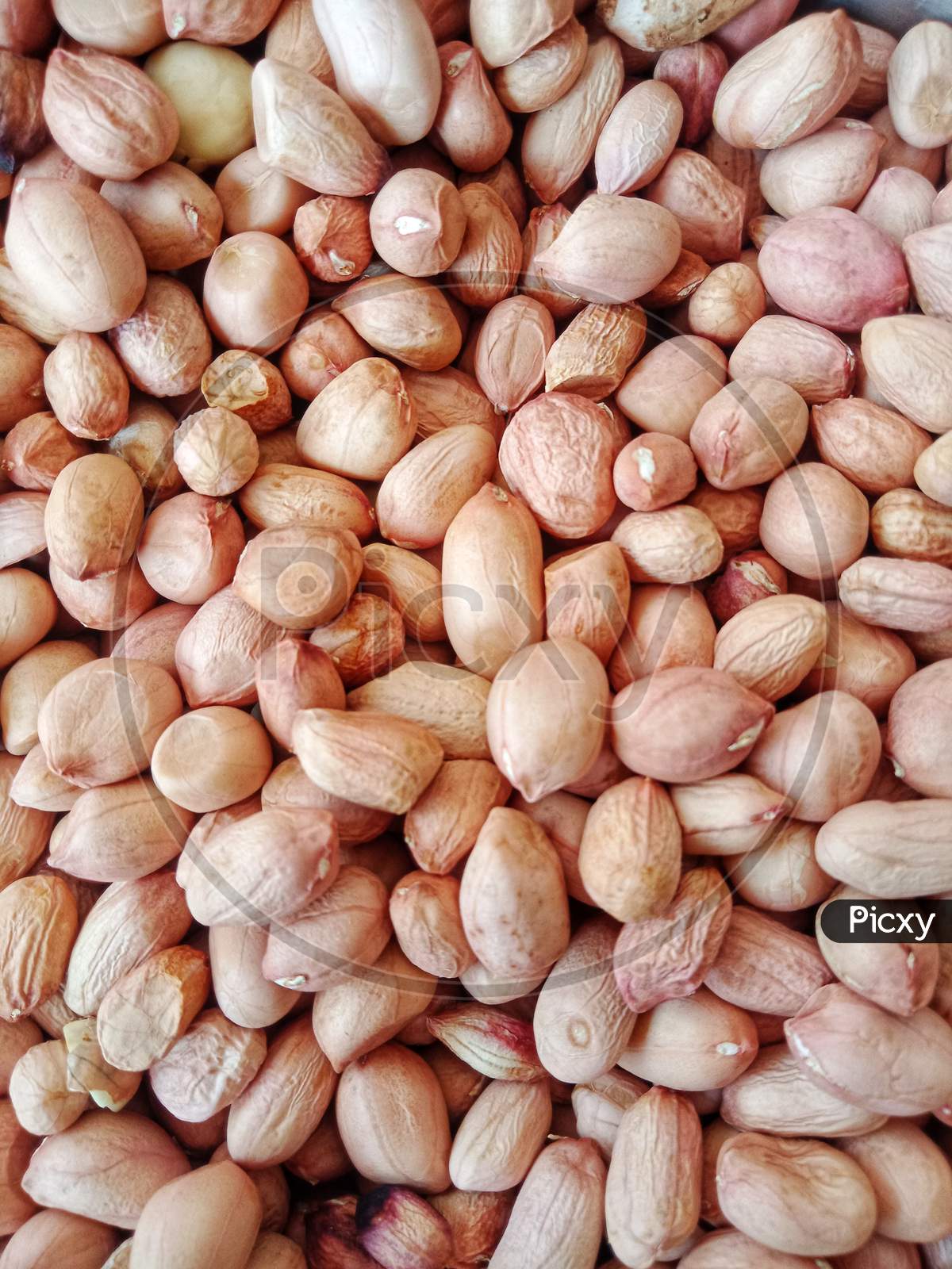 Groundnut, peanut, mumfali, nut
