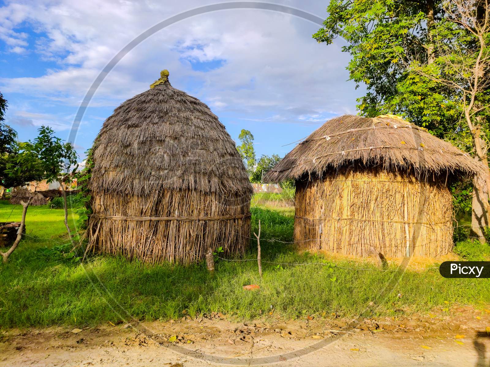 Hut made from tree  leaves and sticks in village Used for animal food storage