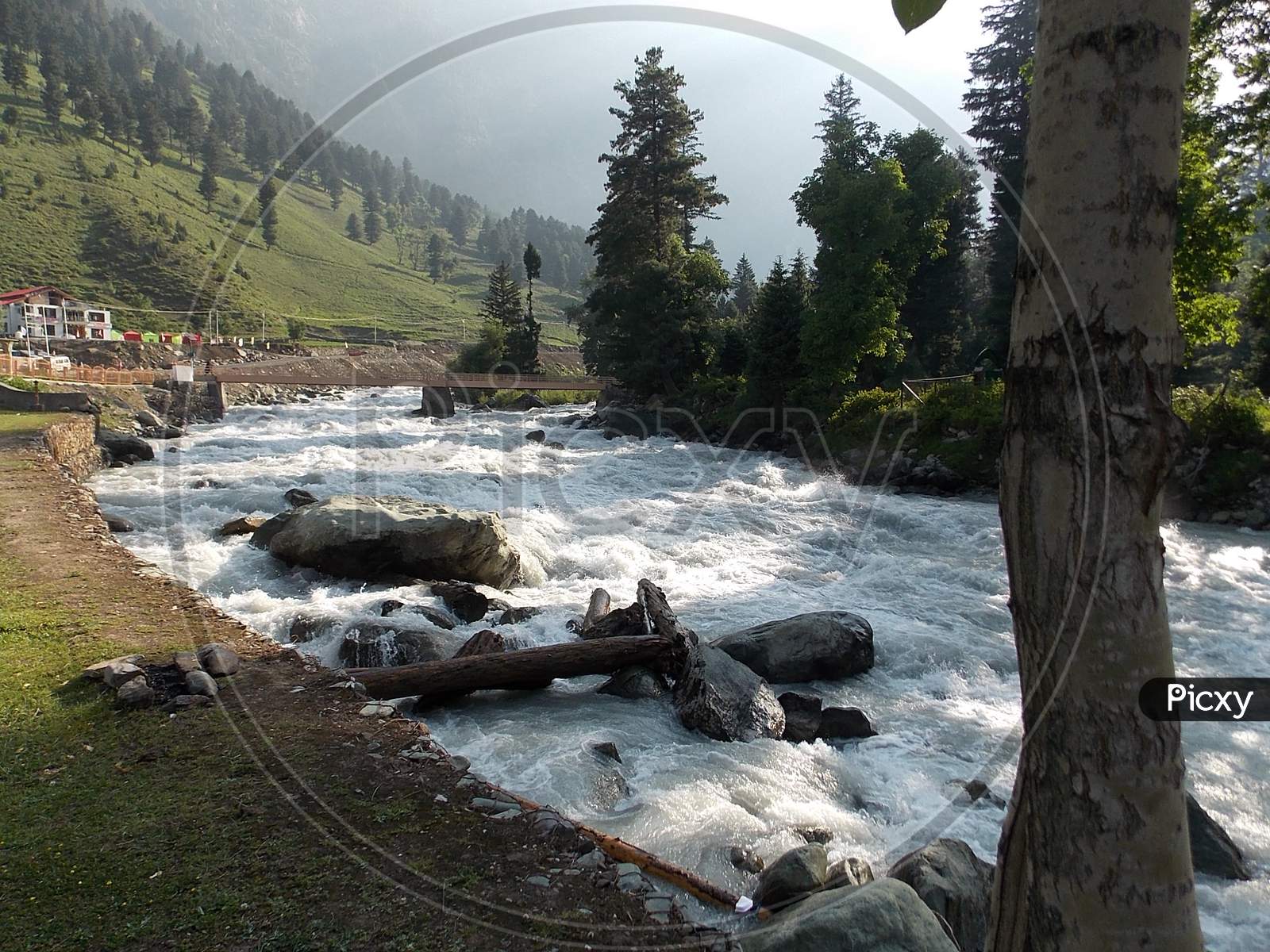 A View of Beautiful River in Sonamarg
