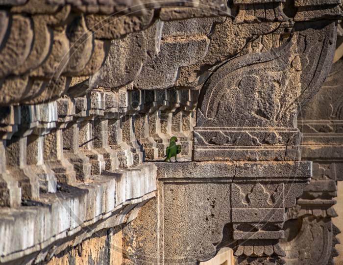 A Parrot Sitting On The Side Wall Of Heritage Structure Of Gol Ghumbaj.