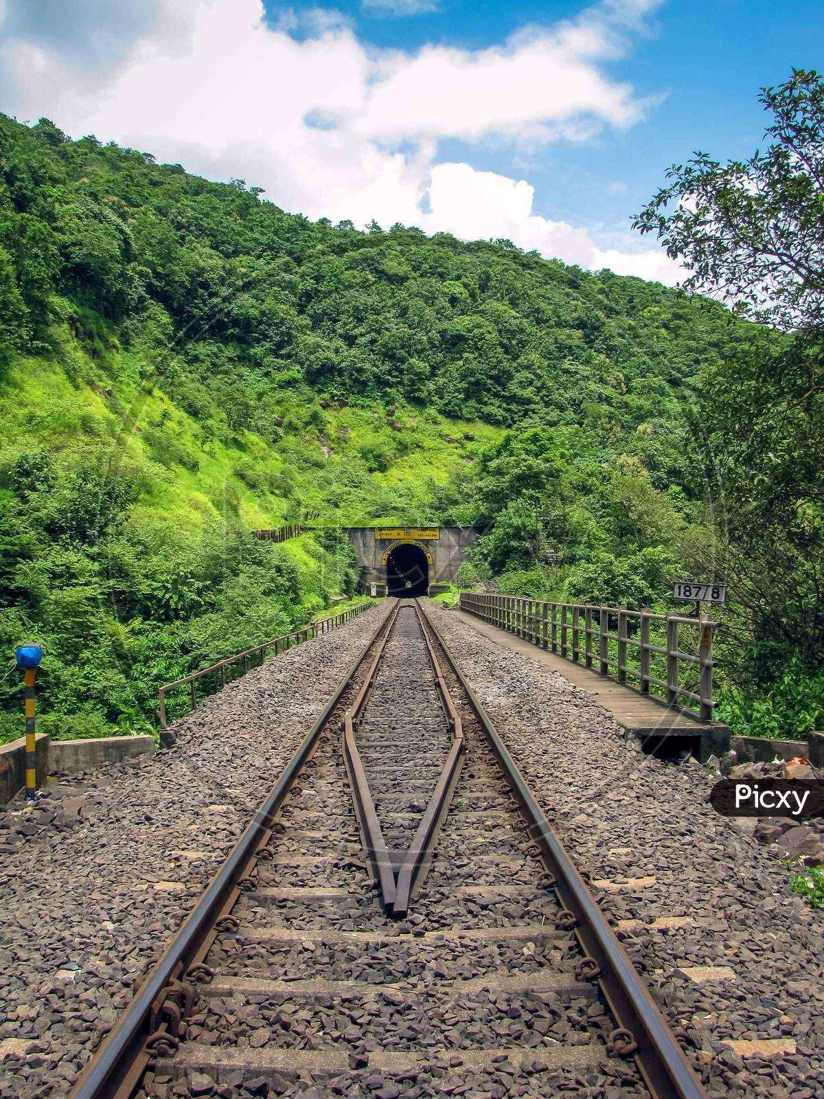 Photo Of A Railway Track Passing Through A Tunnel Cut Through A Hill Full Of Green Plants.