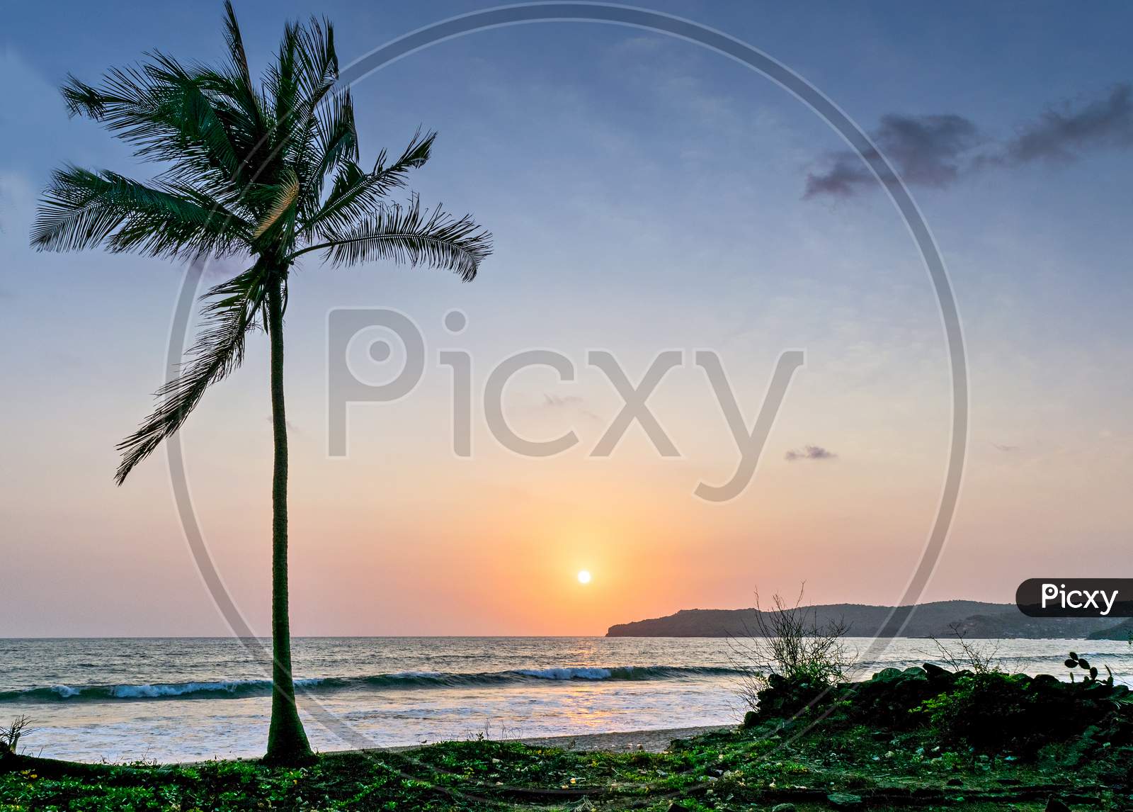 Sun Setting In The Sea With A Coconut Tree On The Shore. Can Be Used As Background.
