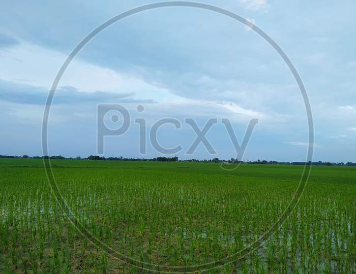 Beautiful Farm Village View Stock Photo. This Photo Is Taken In Bihar.