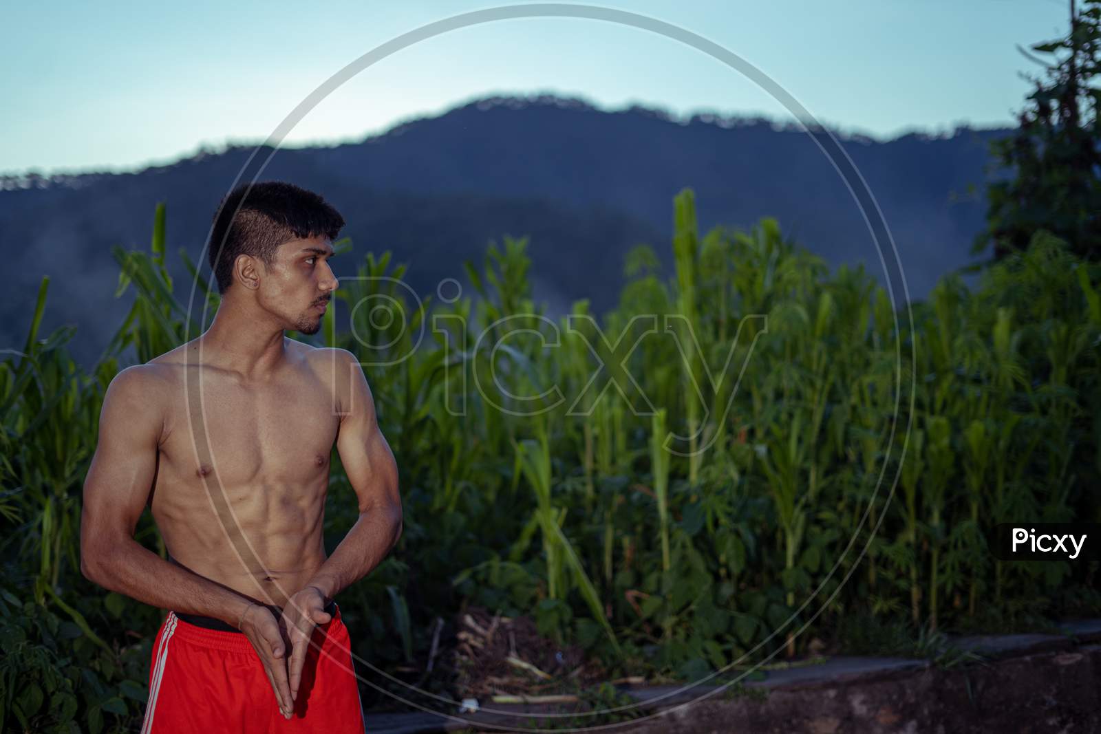 Image of Portrait Of A Young Sexy Man With Abs Standing In The Green  Fields.-SU728190-Picxy