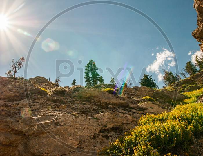 Parks Usa Grand Teton Sun Rays Of Light Nature Photo