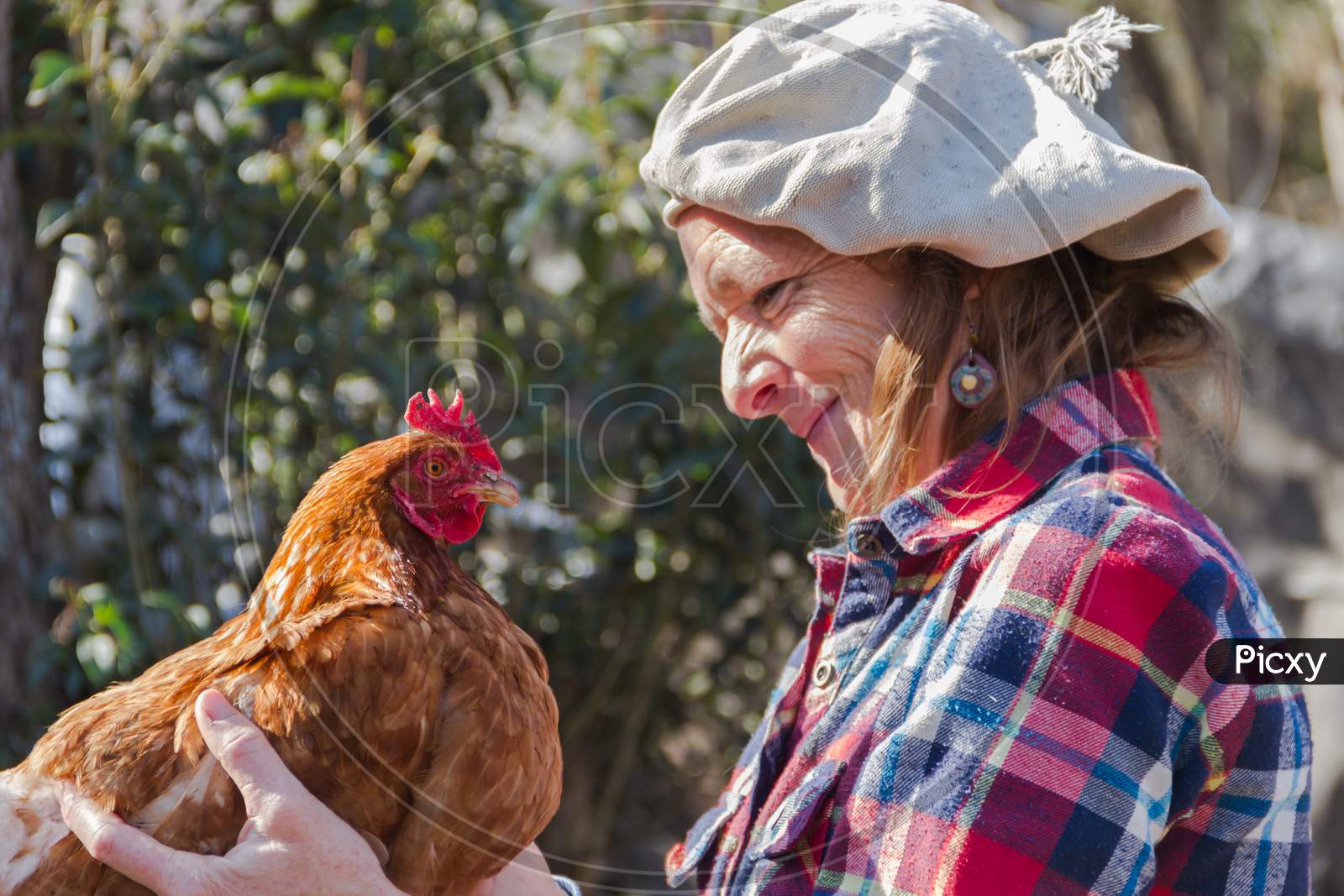 Portrait Of An Argentine Farm Worker Woman With A Hen
