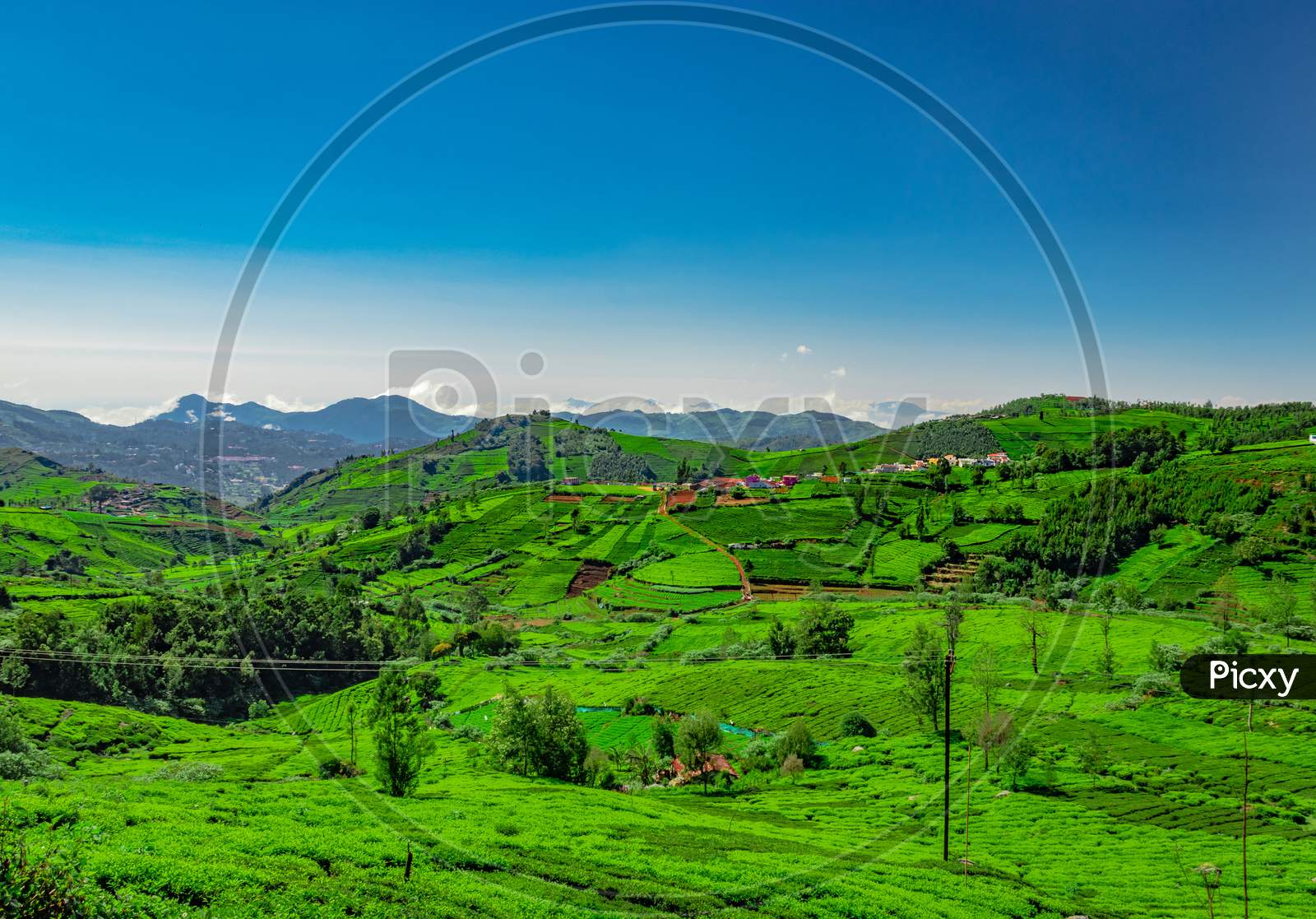 Mountain Range Covered With Green Tea Garden And Amazing Blue Sky Flat Angle Shot