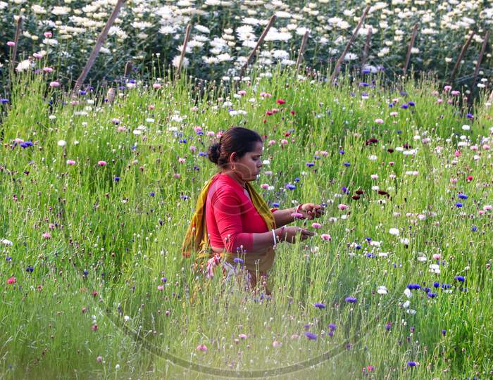 Female Farmers On The Flower Field
