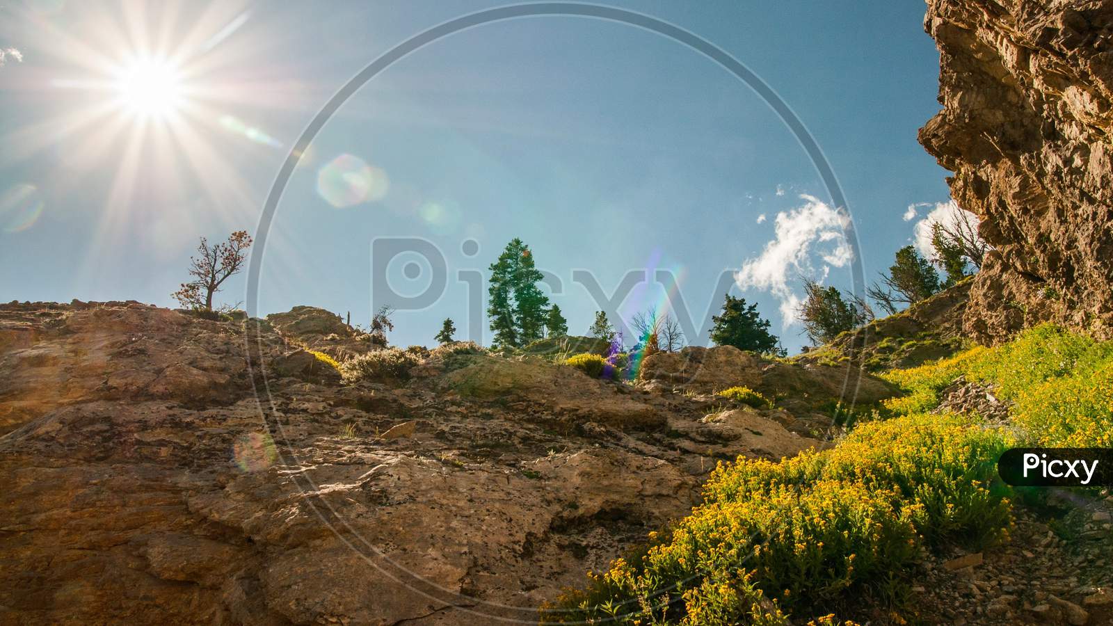 Parks Usa Grand Teton Sun Rays Of Light Nature Photo