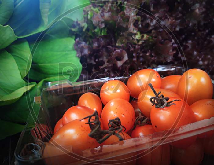 Ripe Red Tomato In A Container With Green Salad Leaves And Lettuce