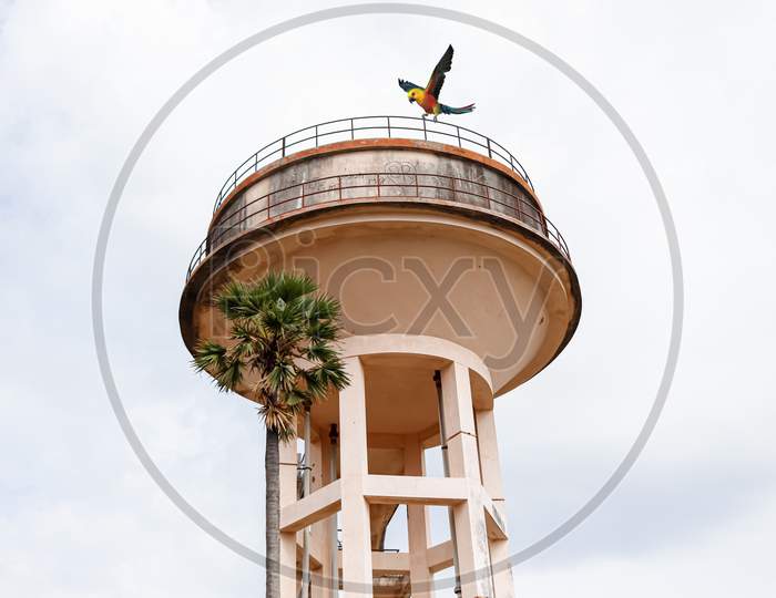 Bird flying above the water tower