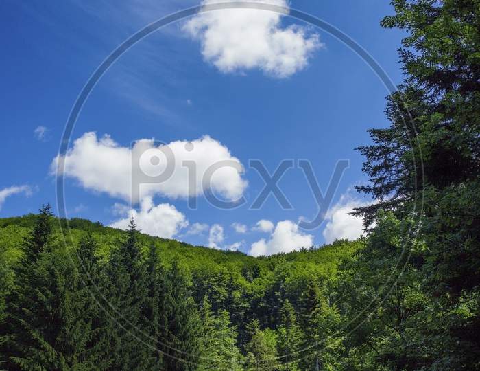 Mesmerizing Scenery Of Green Landscape With Blue Sky In The Background