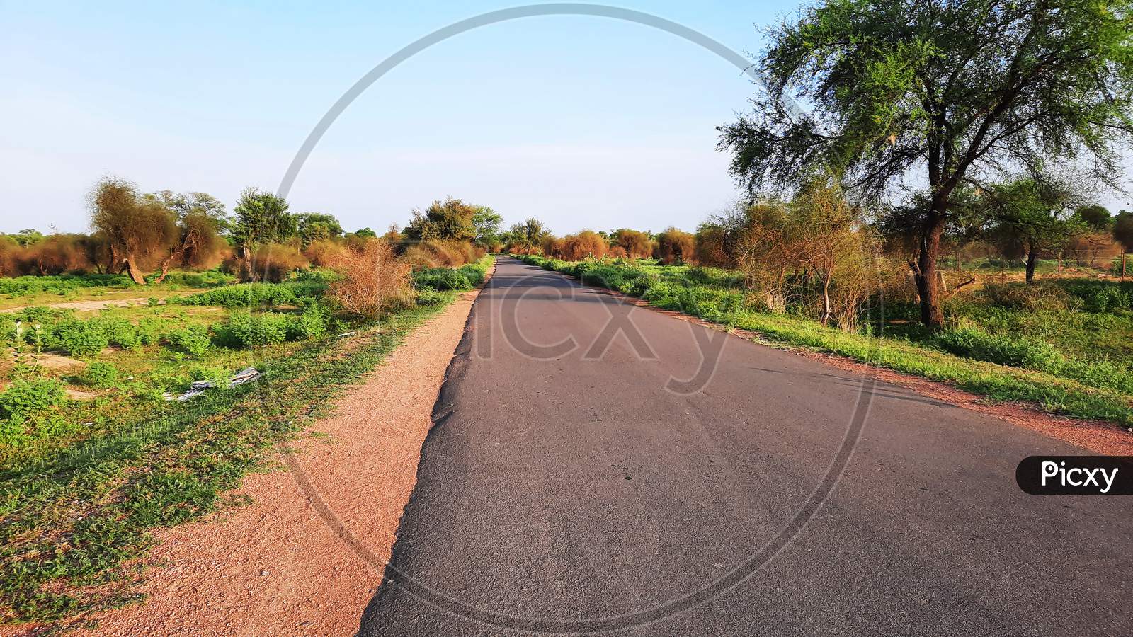 Asphalt Road In Rural Area Of India With Grunge On Edges