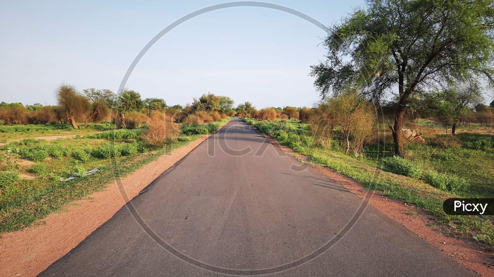 Asphalt Road In Rural Area Of India With Grunge On Edges