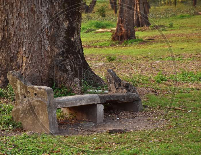 Abandoned Cement Bench Covered With Moss On The Footpath At Indian Botanic Garden Of Shibpur, Howrah Near Kolkata. Soft Focus