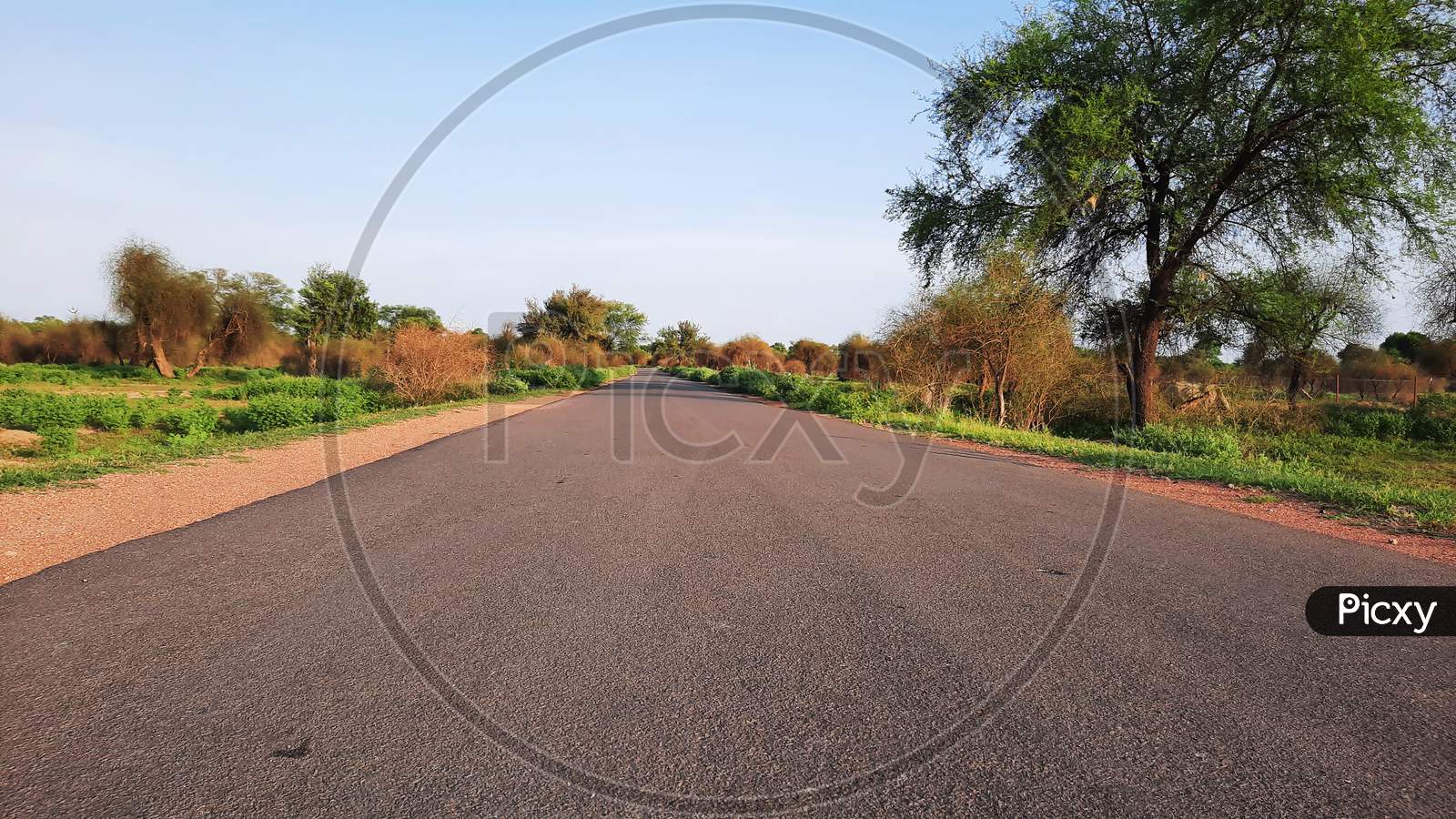 Asphalt Road In Rural Area Of India With Grunge On Edges Closeup