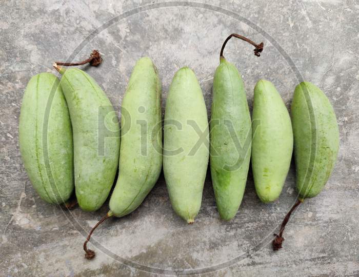 hybrid pointed gourd, common know as Parwal