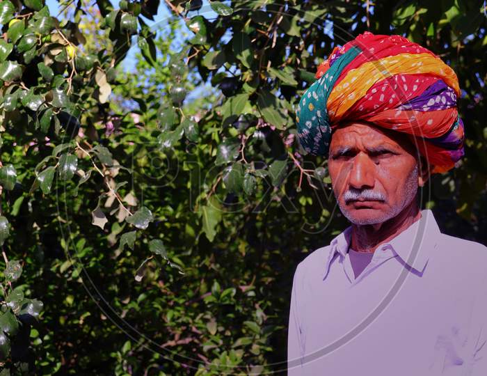 A Happy Indian Farmer Wearing A Colorful Turban