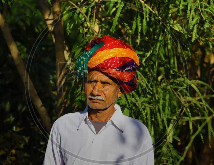 According To Rajasthani Culture, An Indian Farmer Wearing A Colorful Turban Posing In A Green Garden