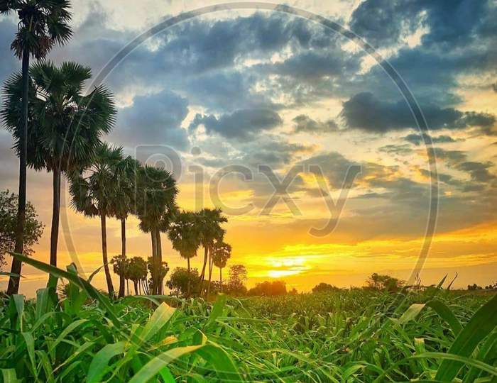 Sunrise×Remove  Vegetation×Remove  Sky×Remove  Tree×Remove  Daytime×Remove  Nature×Remove  Natural landscape×Remove  Sunset×Remove  Cloud×Remove  Morning×Remove