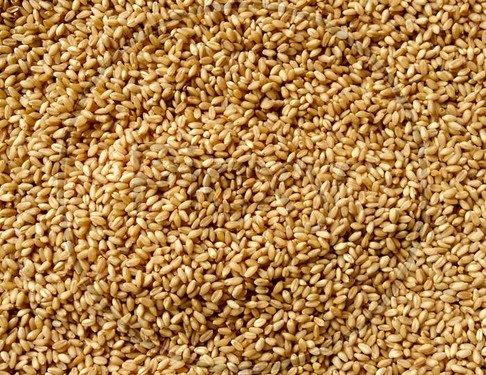 Grains of the wheat