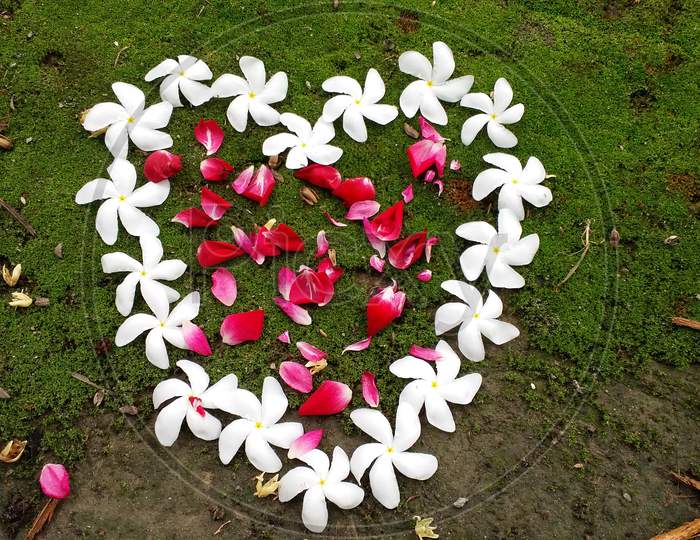 Design heart rose leaf Jasmine flowers